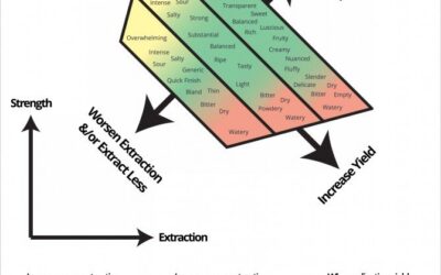 The Espresso Compass